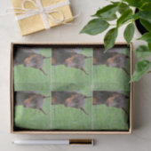 Papier Mousseline Pinscher de dobermann (Cadeau)