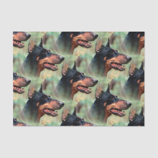 Papier Mousseline Pinscher de dobermann dans les bois (Recto)