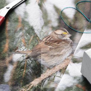 Papier Mousseline Pinson perché sur une branche de pin