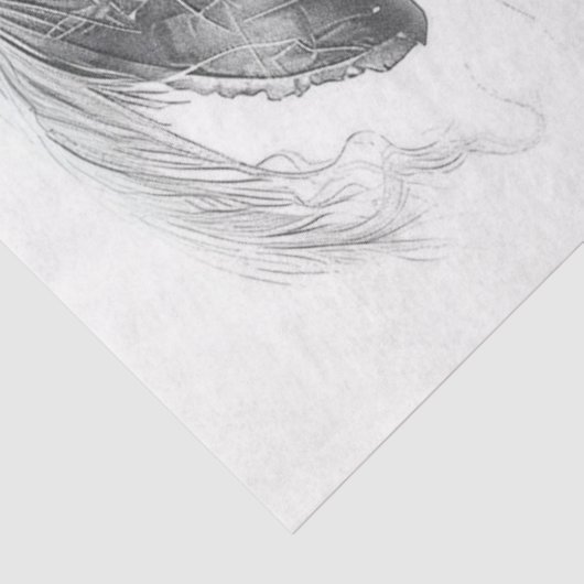 Papier Mousseline Pirate noir blanc découpage (Détail)