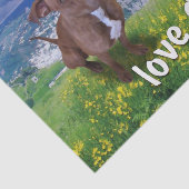 Papier Mousseline Pitbull (Détail)