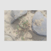 Papier Mousseline Plage (Recto)