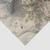 Papier Mousseline Plage (Détail)