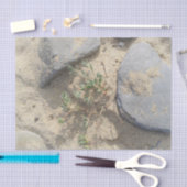 Papier Mousseline Plage (Artisanat)