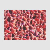 PAPIER MOUSSELINE PLAGE (Recto)