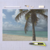 Papier Mousseline Plage d'Aruba I Belle Scène Nature (Artisanat)