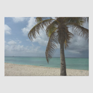 Papier Mousseline Plage d'Aruba I Belle Scène Nature