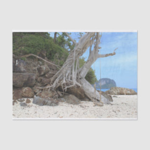 Papier Mousseline Plage de sable tropicale
