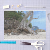 Papier Mousseline Plage de sable tropicale (Artisanat)