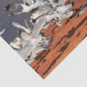 Papier Mousseline Plage de Seaguls (Détail)