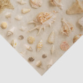 Papier Mousseline Plage de Starfish et Seashells (Détail)