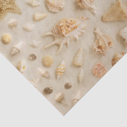 Papier Mousseline Plage de Starfish et Seashells (Détail)