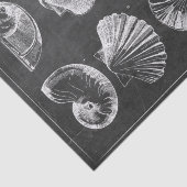 Papier Mousseline Plage rustique france coquillages en tableau (Détail)