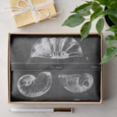 Papier Mousseline Plage rustique france coquillages en tableau (Cadeau)