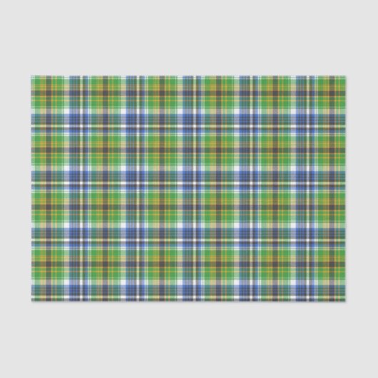 Papier Mousseline Plaid Vert Et Bleu (Recto)