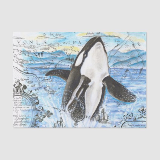 Papier Mousseline Plan Breaching Orca (Recto)
