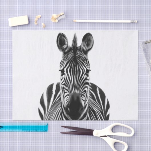 Papier Mousseline Plan de sauvegarde III (Artisanat)