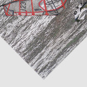 PAPIER MOUSSELINE PLANCHERS À VOILE (Détail)