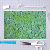 Papier Mousseline Plante (Artisanat)