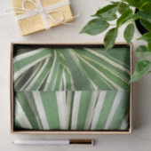 Papier Mousseline Plante Agave Vert et blanc rayé (Cadeau)