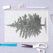 Papier Mousseline Plante d'arbre de cèdre (Artisanat)