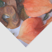 Papier Mousseline Plante de lanternes chinoises orange d'automne (Détail)