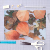 Papier Mousseline Plante de lanternes chinoises orange d'automne (Artisanat)