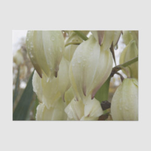 Papier Mousseline Plante de Yucca