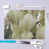 Papier Mousseline Plante de Yucca (Artisanat)