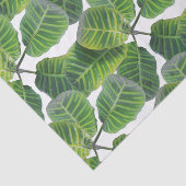Papier Mousseline Plante tropical Motif feuille vert et blanc été (Détail)