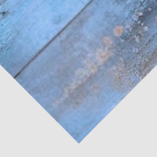 Papier Mousseline Plaques bleues Patinées de décantation (Détail)