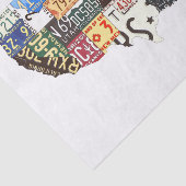Papier Mousseline Plaques d'immatriculation américaines vintages (Détail)