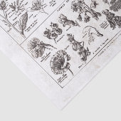 Papier Mousseline Plat français Print-No.22138-Flowers/Fle de (Détail)