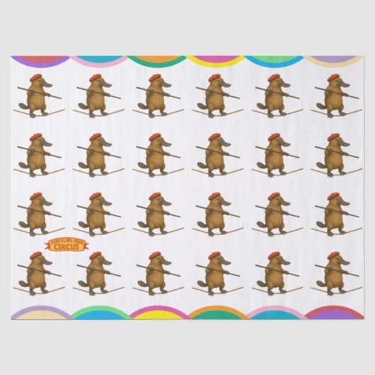 Papier Mousseline Platon ornithorynque funambule (Recto)