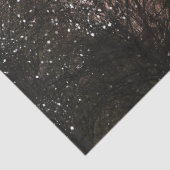 Papier Mousseline Pleine lune Starry Night Forest Découpage (Détail)