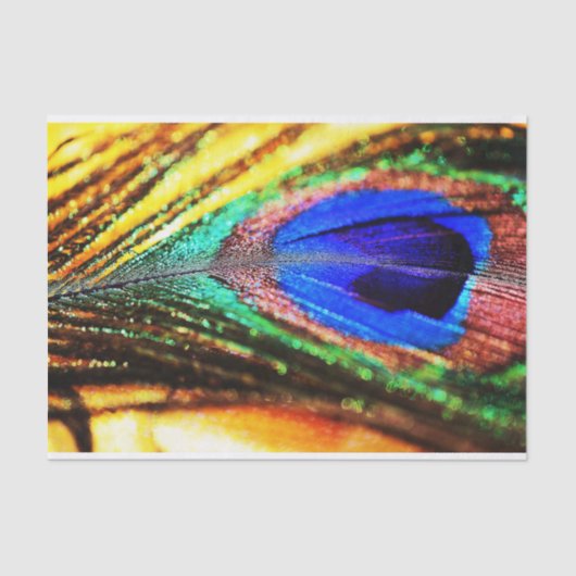 Papier Mousseline Plume de Shirley Taylor (Recto)