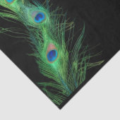 Papier Mousseline Plume verte et noire de paon (Détail)