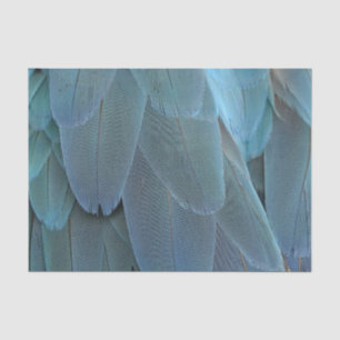 Papier Mousseline Plumes bleues