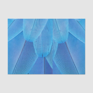Papier Mousseline Plumes bleues turquoises du perroquet de Macaw