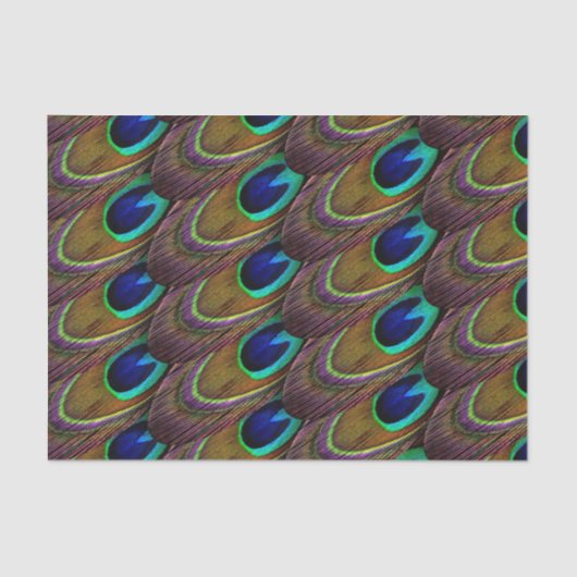 Papier Mousseline Plumes de bleu et de pourpre de paon (Recto)