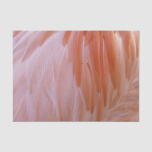 Papier Mousseline Plumes de Flamant rose dans les tons roses