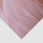 Papier Mousseline Plumes de Flamant rose dans les tons roses (Détail)