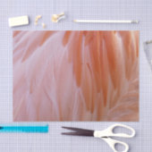 Papier Mousseline Plumes de Flamant rose dans les tons roses (Artisanat)