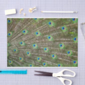 Papier Mousseline Plumes de paon (Artisanat)