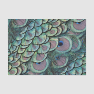 Papier Mousseline plumes de paon