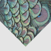 Papier Mousseline plumes de paon (Détail)