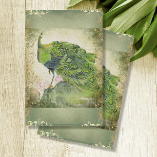 Papier Mousseline Plumes de paon chinois vert n Découpage or
