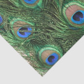 Papier Mousseline Plumes de paquetage (Détail)