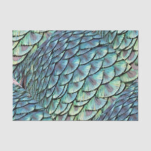 Papier Mousseline Plumes de queue de paon
