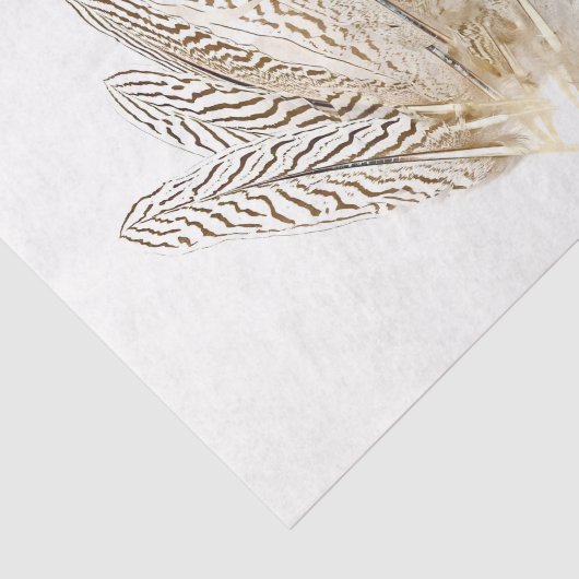 Papier Mousseline Plumes d'impression Zebra #2 (Détail)